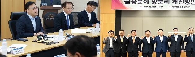 망분리 10년 족쇄푼 금융권,K-금융,글로벌 도약계기